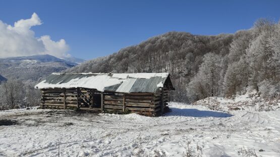 طبیعت زمستانی روستای گردنه سر سوادکوه