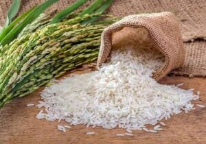 قیمت برنج ایرانی سر به فلک کشید!