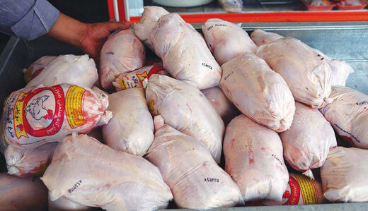 چهار تن مرغ منجمد در فریدونکنار توزیع شد