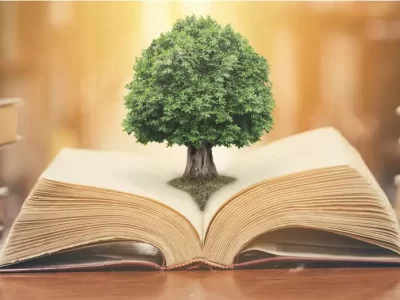 کتاب و کتابخوانی: کلید ورود به دنیای دانش و توسعه مهارت‌های زندگی
