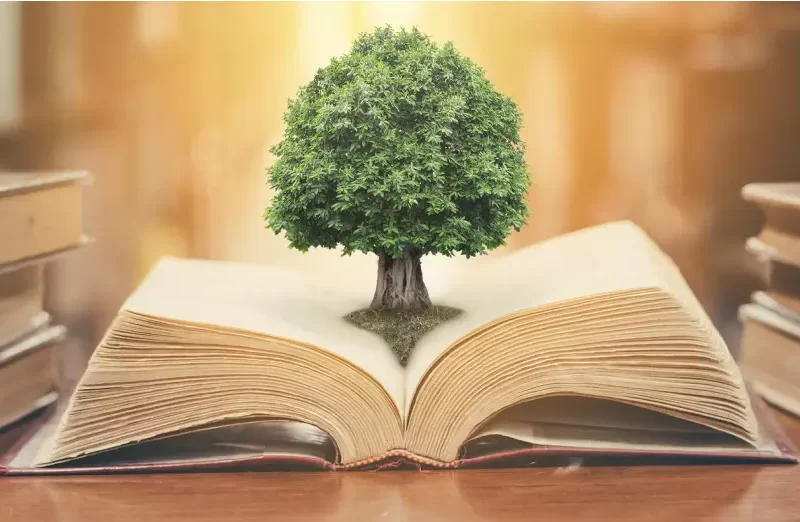 کتاب و کتابخوانی: کلید ورود به دنیای دانش و توسعه مهارت‌های زندگی