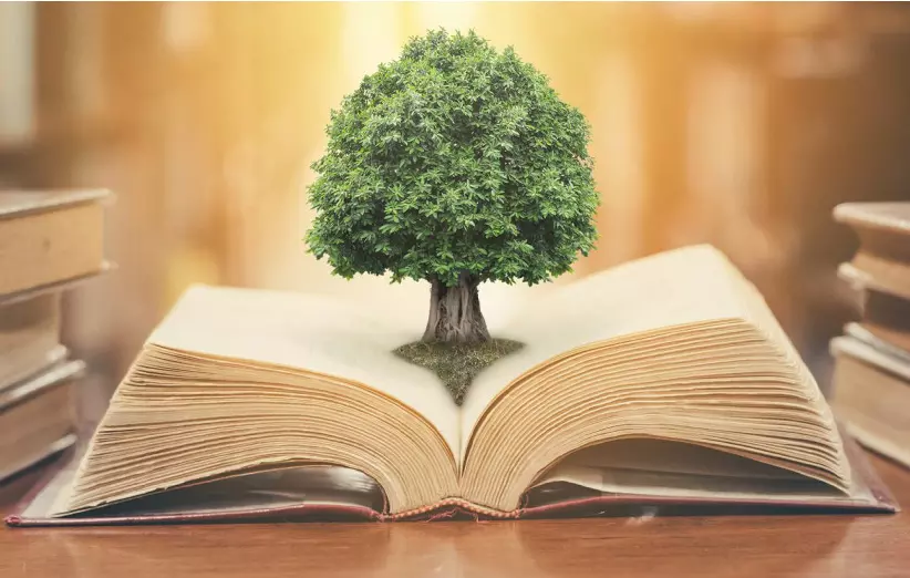 کتاب و کتابخوانی: کلید ورود به دنیای دانش و توسعه مهارت‌های زندگی