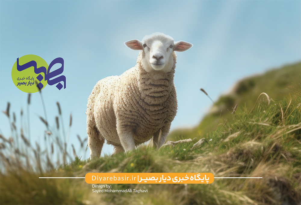 داده‌نما | نکات بهداشتی برای ذبح دام