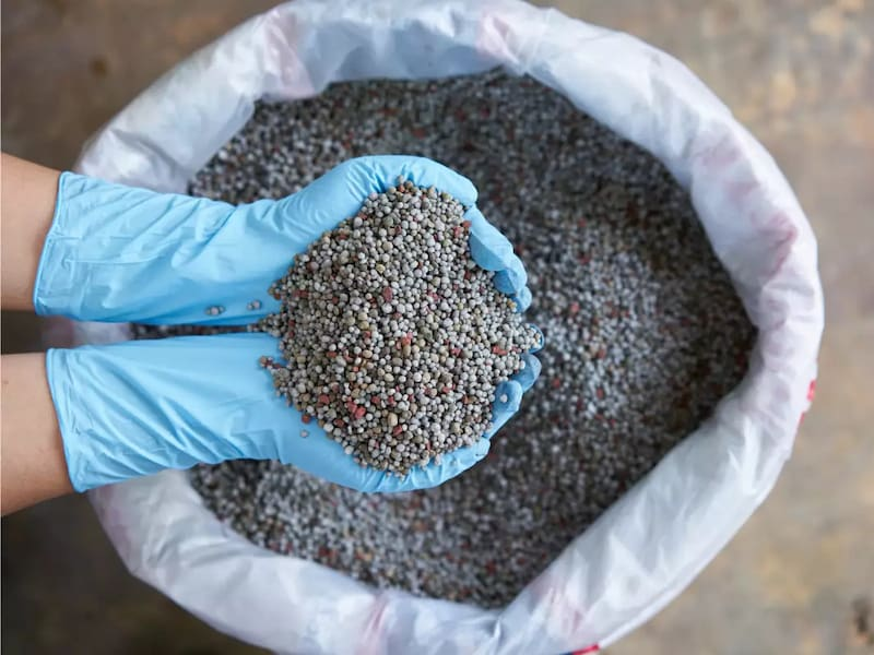 توزیع ناکافی کود کشاورزی در فریدونکنار