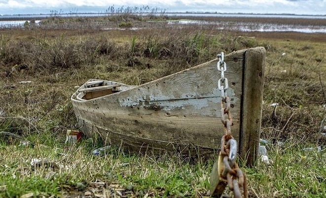 مرثیه‌ای برای نیلوفرهای مرداب